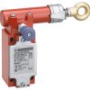 Rope Pull Switch, RH, ISO M20, 1NC 1NO