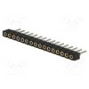 DS1002-02-1X16BT1F