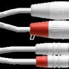 CFU 3 FC-SNOW CORDIAL 2x XLR female 3-pin, 2x RCA, 3.00m