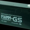 FG10301 Absorbent glass mat battery, 6 V, 3.0 Ah