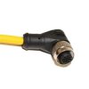 Mueller Electric Kabel siłownika czujnika Złącze A Złącze M12, Prosty kąt 4 długość 10 m Rodzaj A Żeńskie Złącze B