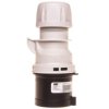 Wtyczka przenośna 32A 4P 500V czarna IP44 SHARK 024-7