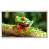 Wyświetlacz LCD TFT 10.1cal IPS TFT WSVGA 1024 x 600pikseli RGB I/F Nie NEWHAVEN DISPLAY INTERNATIONAL