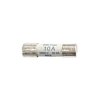 HT Instruments 2009720 Fuse 10A SB10A For HT60er Series 1 piece