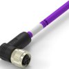 Sensor actuator cable, M12-cable socket, angled to open end, 2 pole, 1 m, PUR, purple, 4 A, TAB62435501-002