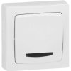 Legrand Przełącznik instalacyjny Oteo biały 086017 1 szt.