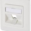 Skrzynka przyłączeniowa Keystone UP 1 port niewyposażona czysta biel