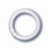 G10q 22W/840 T8 Philips 0506 TL-E 29x150/210 Świetlówka kołowa Ø29 x 219