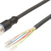 VK200A25 Kabel połączeniowy, 2 m, gniazdo M12 8-stykowe proste, wolny koniec kabla, 8-żyłowy, PUR (poliuretan)