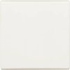 Busch-Jaeger Palladium 2CKA001731A1775 1 szt.