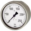 Riegler pressure gauge, 102064, 608