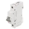 272000100 Wyłącznik nadprądowy, 230/400VAC, Prąd znamionowy: 20A, Bieguny: 1, 10kA