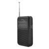 Radio przenośne AM/FM R-128