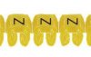 Oznacznik kablowy Legrand Legrand 038135 038135, tworzywo sztuczne, 1 do 2.30 mm, 300 szt.