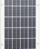 Moduł monokrystaliczny SunWare SW-40145, 30 Wp 30 Wp 12 V