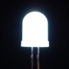 Diffused White 10mm LED (25 pack)
