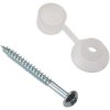 ForgeFix 10CRSC Corrugated Roofing Screw Round Head Pozi ZP 4mm x 50mm Bag 10