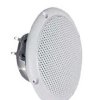 Głośnik stojący FR 10 WP WHITE 4 OHM, 20W, 30W