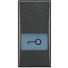 AXOLUTE Klawisz KLUCZ 1 modułowy antracyt HS4921LF LEGRAND