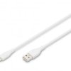 USB 2.0 connection cable, USB plug type C to USB plug type A, 2 m, white, AK-300340-020-W
