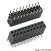 289-20-2-4-00 Socket 2 x 10 Pin THT W&P