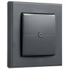 Homematic IP 159881A0 Wireless Wall Switch Reliable 1 Piece(s)