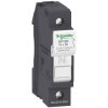 Schneider Electric DF10N fuse holder protects against short-circuits.