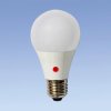 Żarówka LED A60 E27 CW 9W 950lm barwa zimna 200 z czujnikiem zmierzchu HD111SL