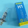 H-1 24V/70W P14.5s SHALOGEN BOSMA
