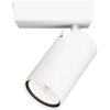 Philips 8720169299078 Idris Ceiling Floodlight GU10 White IP44 Bathroom Safe