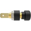 Schützinger IBU 5568 Au/SW Socket Black 1pc Gold-Plated Contacts