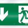 ESYLUX EN10031120 Piktogram wyjście awaryjne w dół