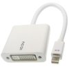 Przejście mini Display Port/gn. DVI (IC) Adapter