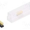 SL11SMD06210.SSM