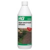 HG 181100106 Algae and Mould Remover 1 litre