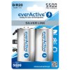2x akumulatorki everActive R20/D 5500mAh
