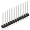 Pin header, 12 pole, pitch 2.54 mm, straight, black, 10058491