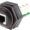 Złącze RJ45 Żeński Złącze RJ45 Montaż na panelu Brad from Molex, proste