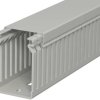Wiring duct, (L x W x H) 2000 x 40 x 60 mm, PVC, stone gray, 6178031