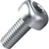 Flat head screw, TX, M5, Ø 10 mm, 8 mm, steel, galvanized, ISO 7045, 001.51.531