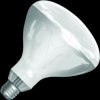 391253750 Infrared lamp, E27, R125, 375 W, clear