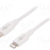USBC-LIGHT/0.5WH