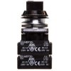 Przycisk sterowniczy 30mm NEF30-TPc4X czarny W0-NEF30-TPC 4X S