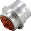 Socket, 14 pole, straight, natural, HD34-24-14PN