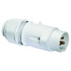 Złacze męskie CEE Bals Elektrotechnik 4429 16.0 A 50 V
