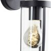 Zewnętrzna lampa ścienna Brilliant Sidney 44290/06 czarny, przeźroczysty