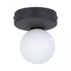 Lampa sufitowa BIANCA BLACK 1 PŁ 5681 TK Lighting