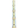 Taśma Led 240Led/M 4000K 24V 18W/M Rolka 5M