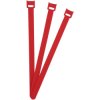 Fastech Etk-3-250-1339-100 Cable Tie Red Hook And Loop 250mm X 13mm 100 Pieces
