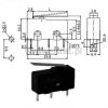Przełącznik krańcowy z dźwignią 25mm 5A mały druk